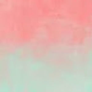 Meet your Posher, Hadyn